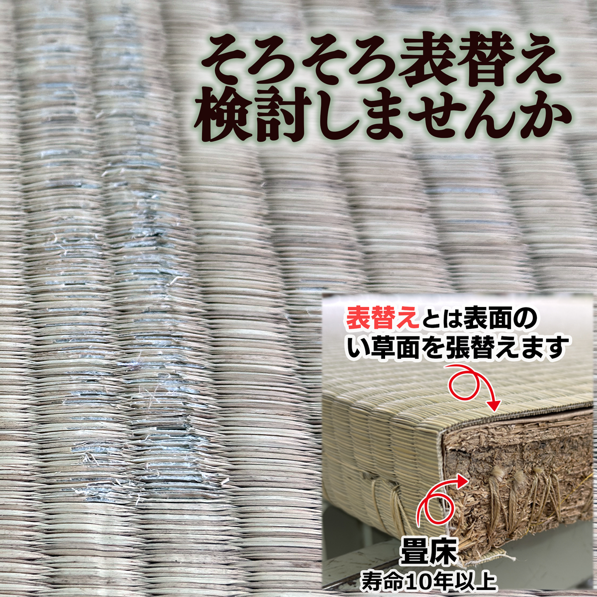 畳の表替え作業1畳当り10900円~