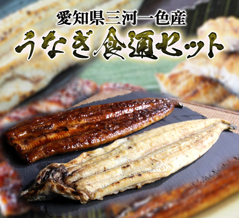 三河一色(みかわいっしき)産、うなぎ食通セット【2尾/4尾セット】