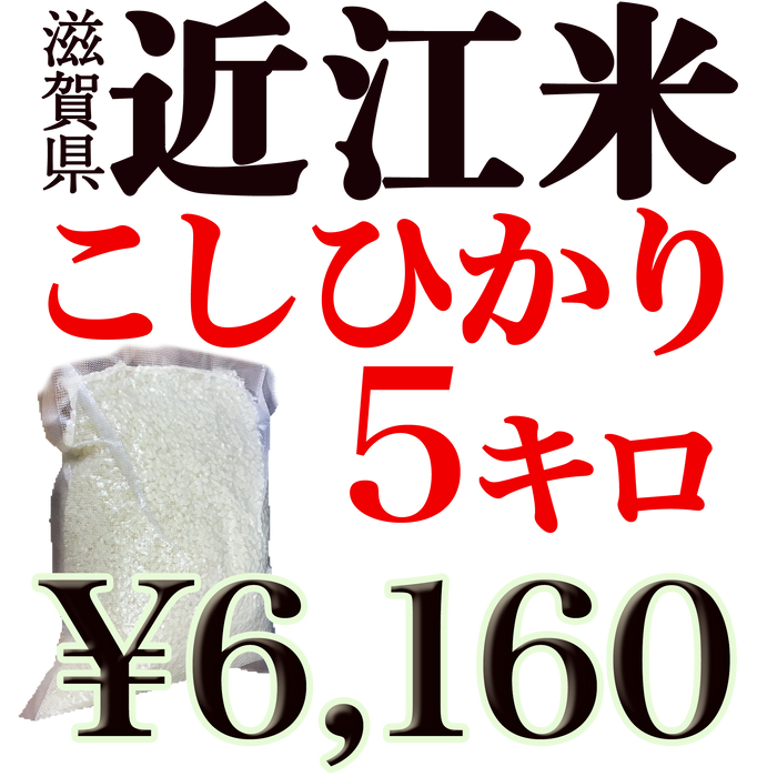 近江米 こしひかり5キロ