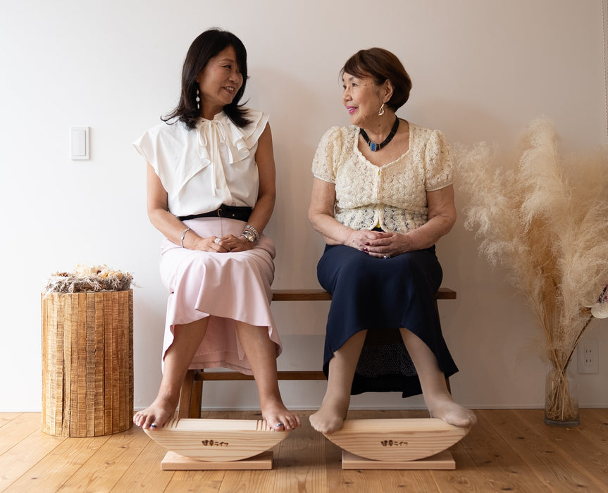 座ったまま、足ふみウォーキング あしふみ健幸ライフ【溝入タイプ】