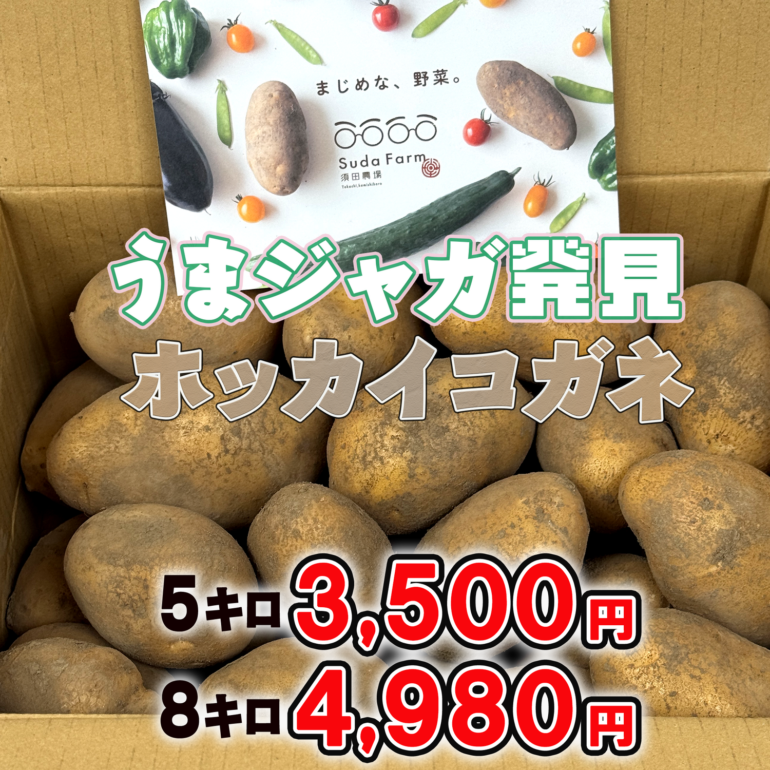 北海道 須田農場 ホッカイコガネ 5キロ/8キロ