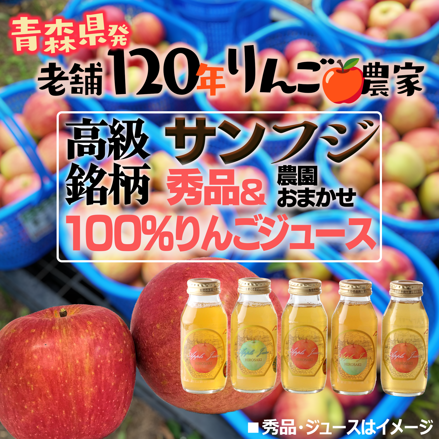 「120年りんご農家」のサンフジりんご小玉 秀品【3キロ】+100%りんごジュース5本【ちょっと訳あり】