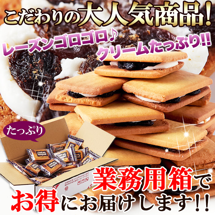 高級レーズンサンド【24個】