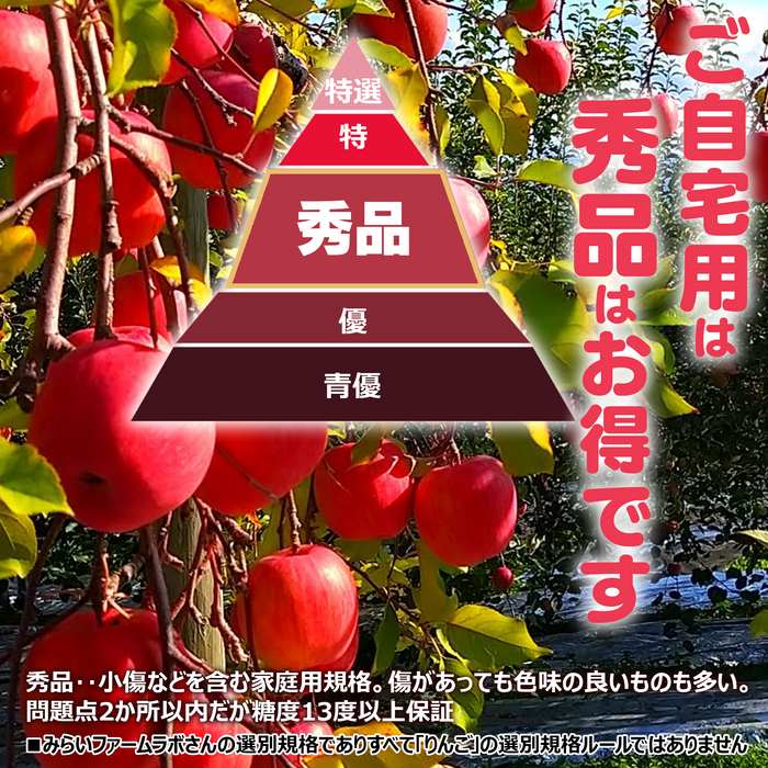 「120年りんご農家」のサンフジりんご小玉　秀品【3キロ】+100％りんごジュース5本【ちょっと訳あり】