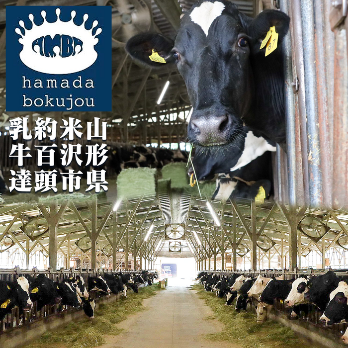 はまだ牧場 しぼりたて生乳ジェラート カップタイプ【山形】