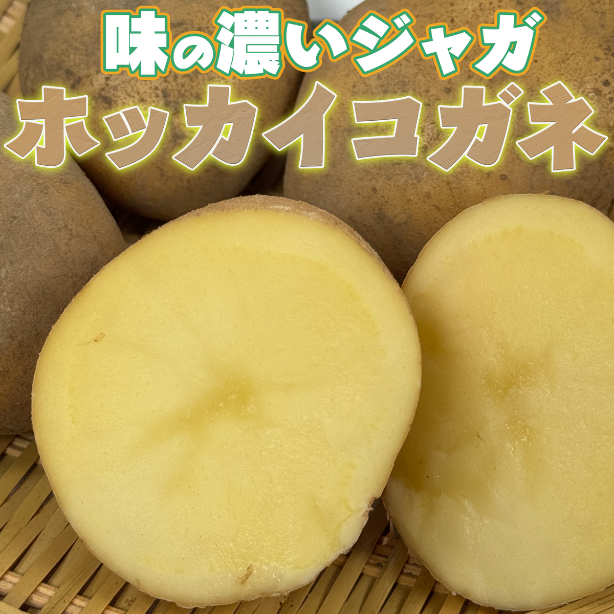 北海道　須田農場 ホッカイコガネ