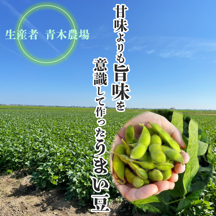 黒埼茶豆【250g×6袋/1.5キロ】