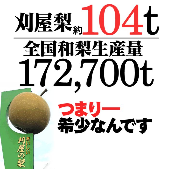 刈屋梨 大玉セット【山形】
