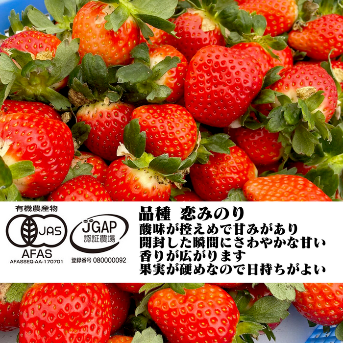 有機いちご「恋みのり」不揃い2kg｜有機いちご生産量日本一の農場から