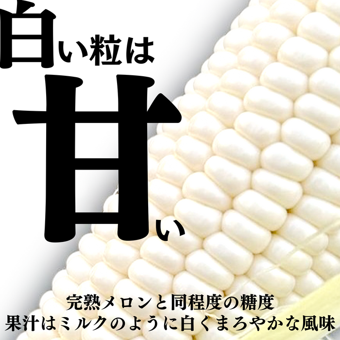 白いおおもの【糖度20度希少とうもろこし】