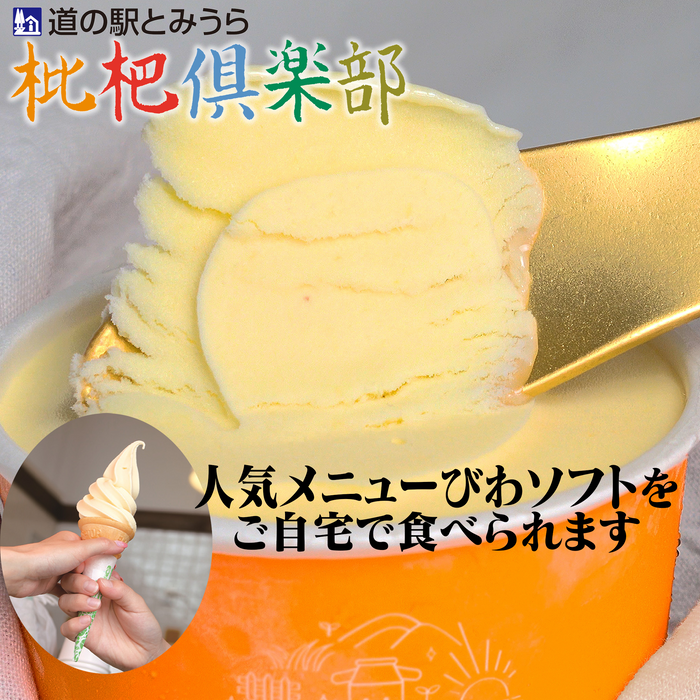 道の駅とみうら びわソフトクリームアイス 8個セット【千葉】