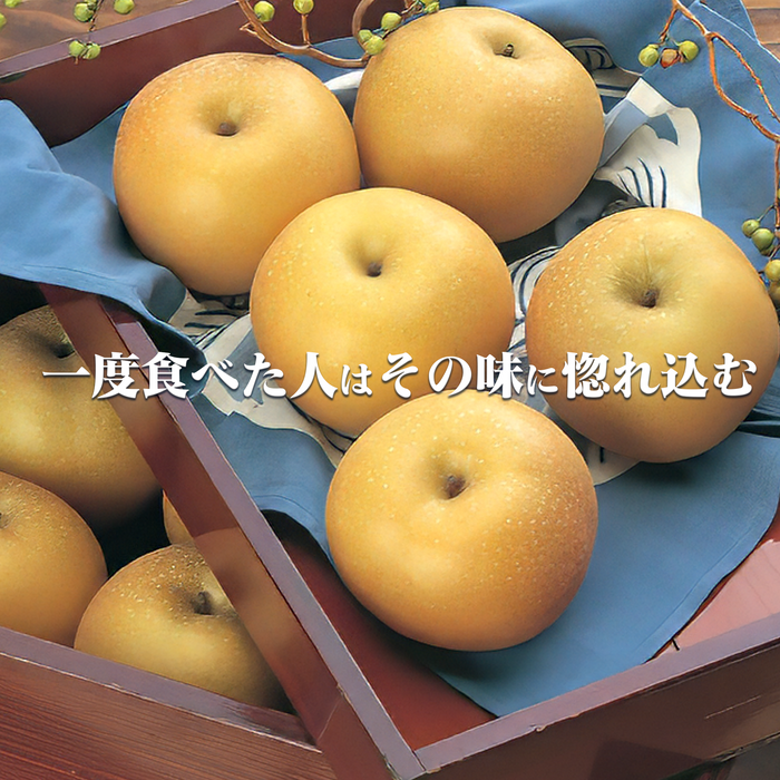 刈屋梨 大玉セット【山形】