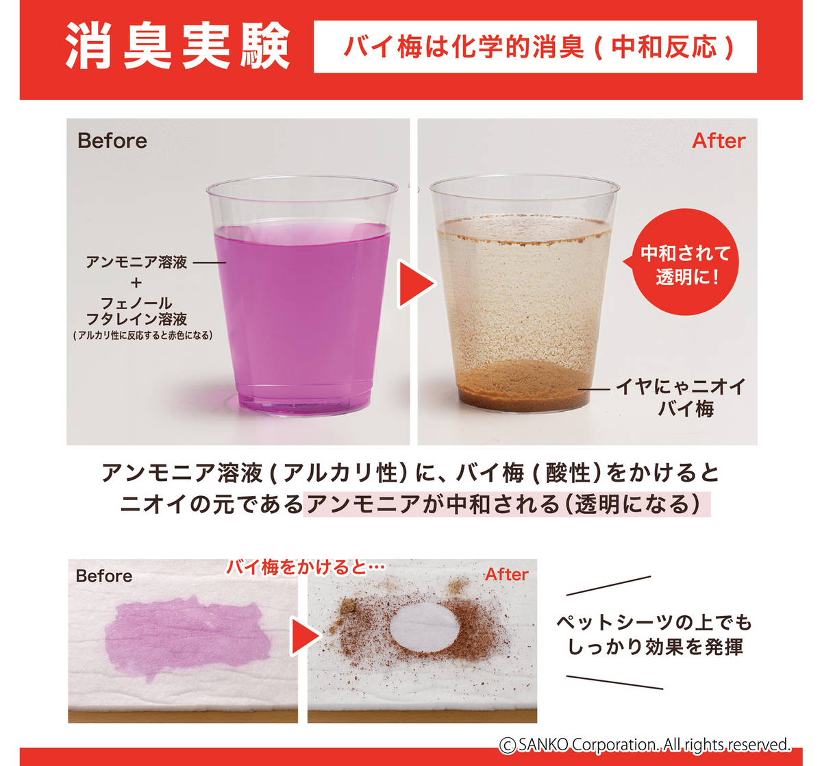 【強力ペット消臭】イヤにゃニオイバイ梅！