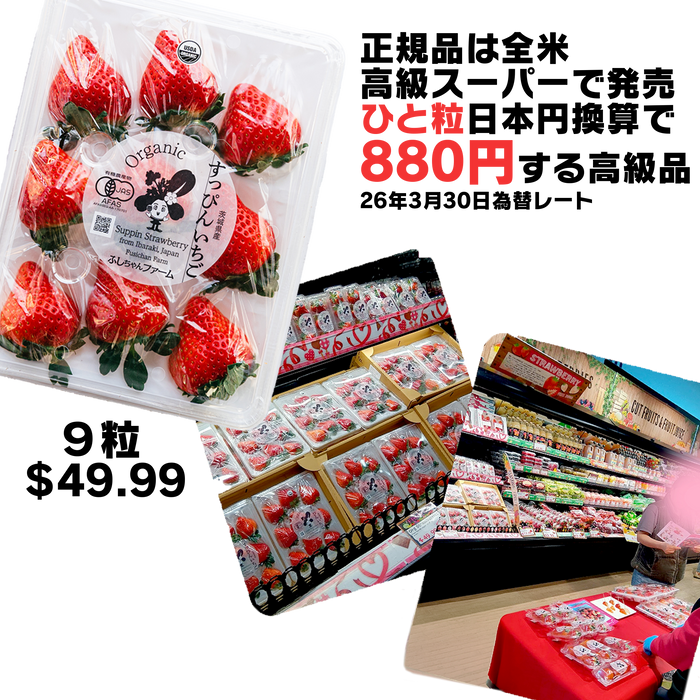 有機いちご「恋みのり」不揃い2kg｜有機いちご生産量日本一の農場から