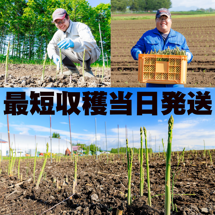 北海道 須田農場 アスパラガス