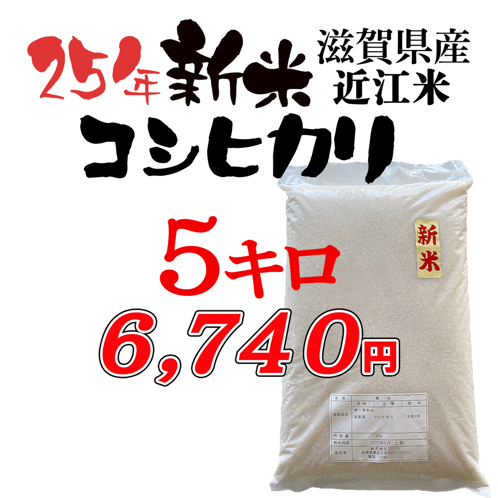 25年新米近江米 こしひかり5キロ ／こしひかり5キロ×2【10キロ】10月1