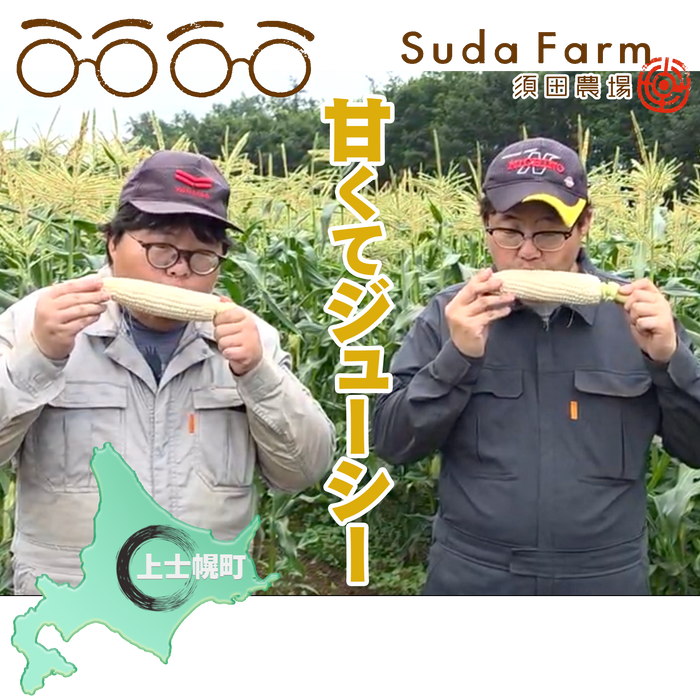 北海道 須田農場 ホワイトコーン「雪の妖精」