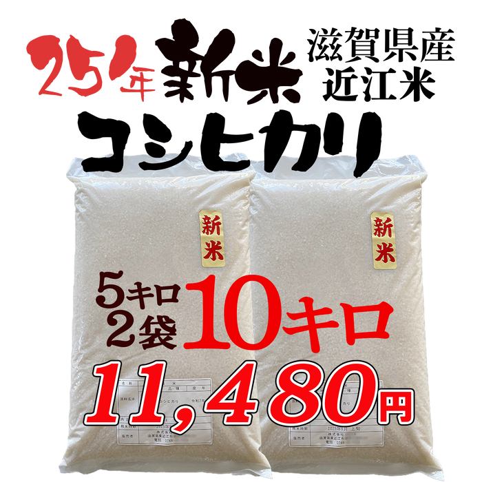 25年新米近江米　こしひかり5キロ　／こしひかり5キロ×２【10キロ】10月1日出荷予定