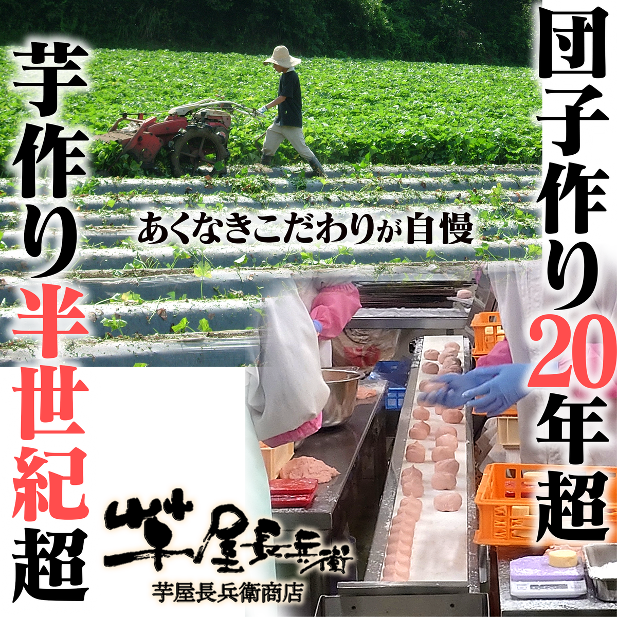 いきなり団子【熊本】