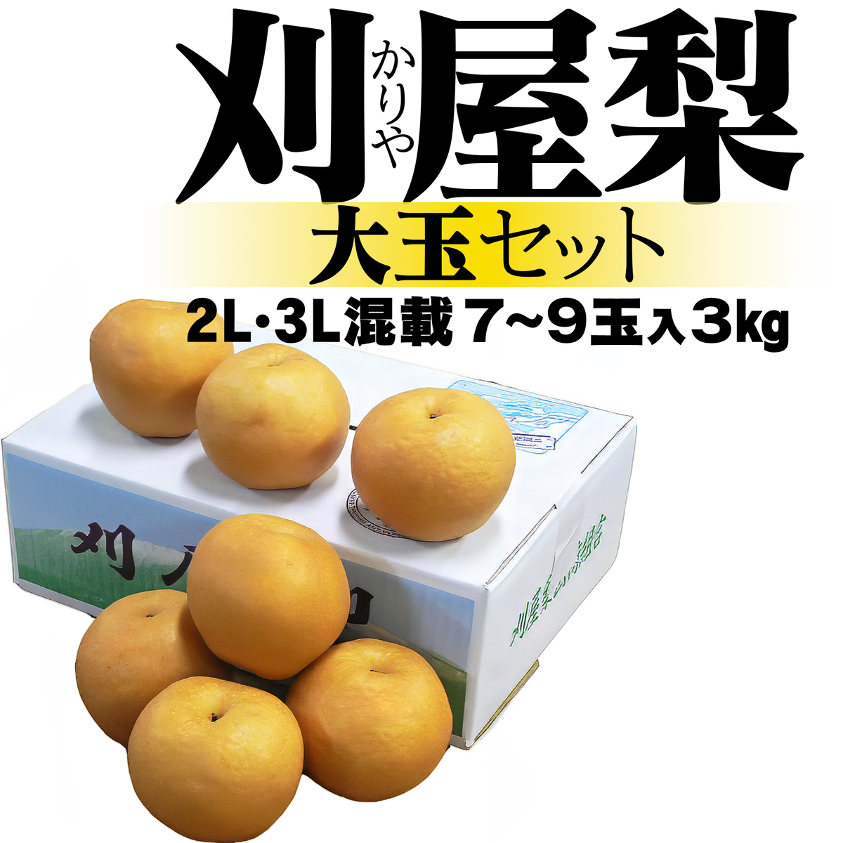 山形刈屋梨 大玉セット｜100年超の希少和梨｜幸水・豊水｜送料無料