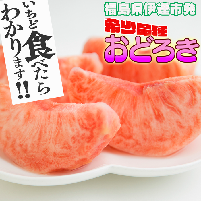 希少品種　福島の固い桃　おどろき