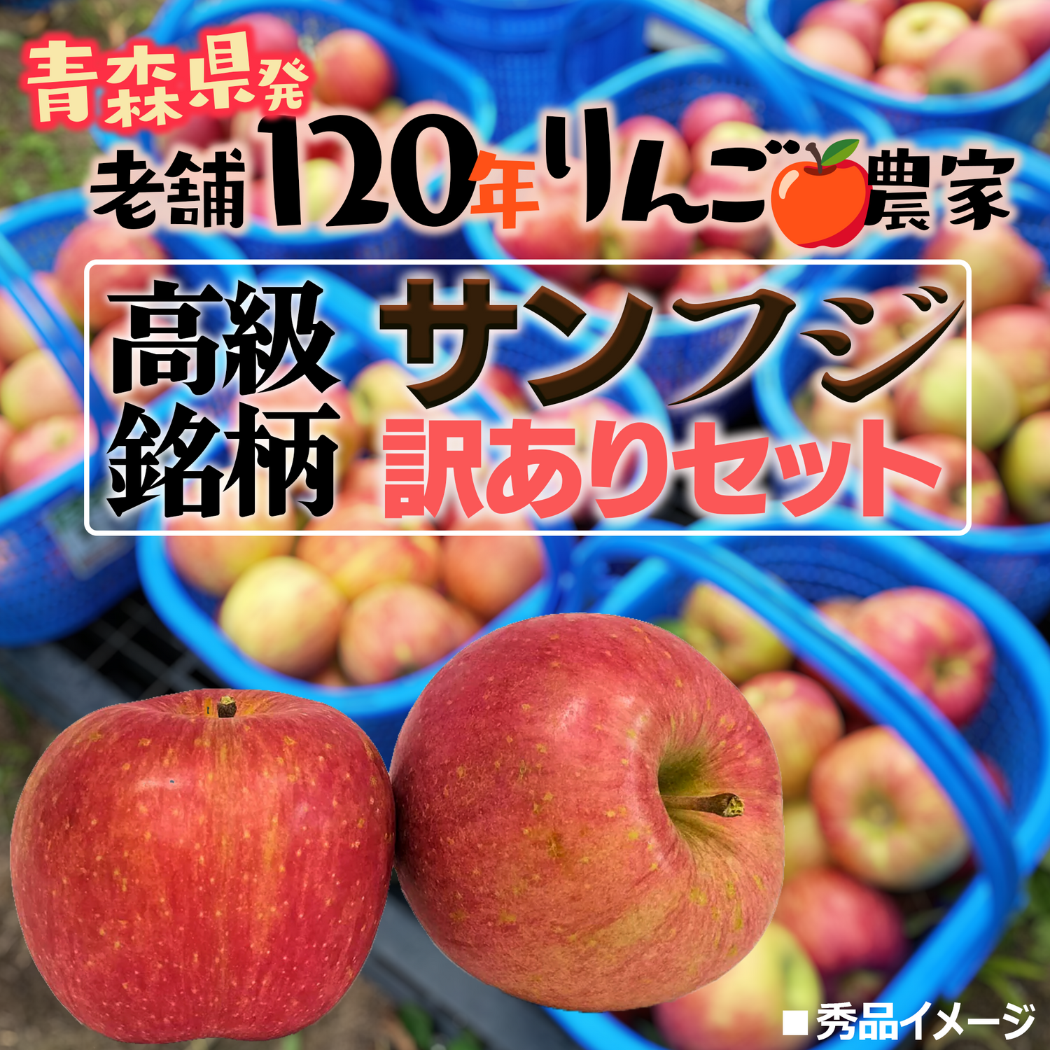 「120年りんご農家」のサンフジりんご小玉　秀品【3キロ】10～12個／【5キロ】20～23個