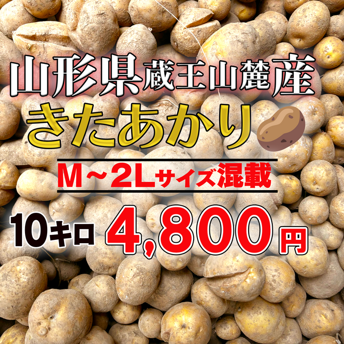 山形県産「きたあかり」M～2Lサイズ混載、10キロ【25年秋収穫】
