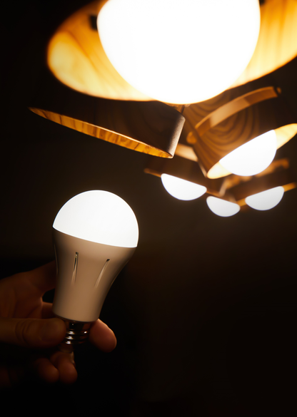【最安値更新】バッテリー内臓電球　いつでもランプ「TSUITA」