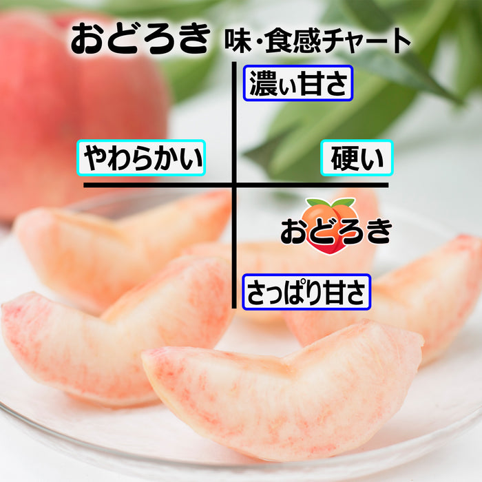 希少品種　福島の固い桃　おどろき2kg【5～7玉】／3kg【8～10玉】※送料設定なし