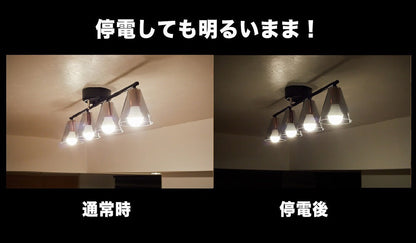 【最安値更新】バッテリー内臓電球　いつでもランプ「TSUITA」