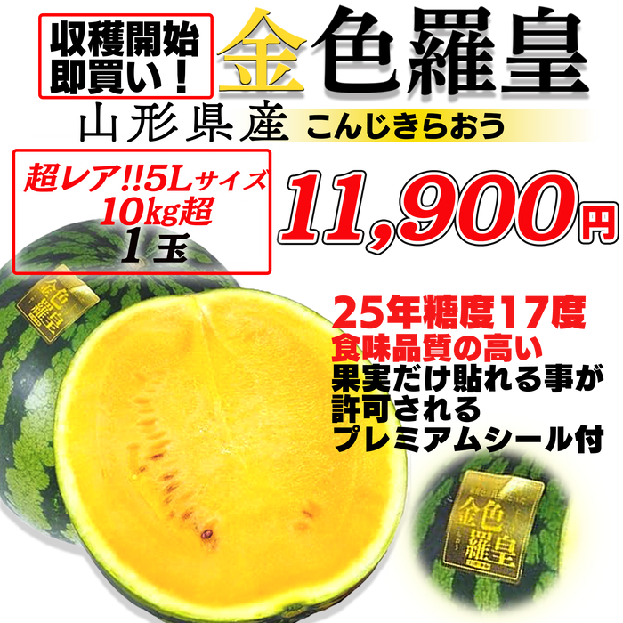 凄く甘い黄色いスイカ「金色羅皇」　超大玉サイズ