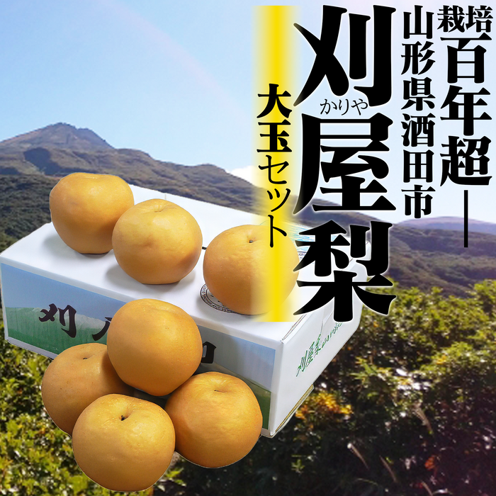 刈屋梨 大玉セット【山形】
