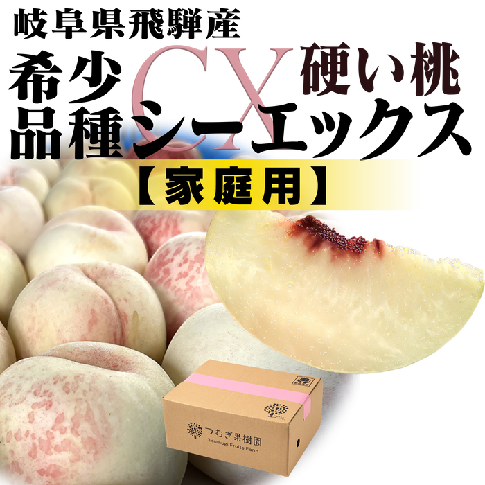 硬い桃 シーエックス【希少品種 】
