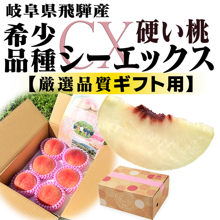 硬い桃 シーエックス【希少品種 】