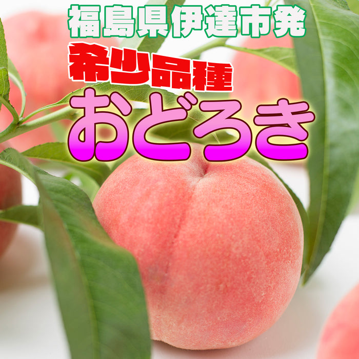 希少品種　福島の固い桃　おどろき2kg【5～7玉】／3kg【8～10玉】※送料設定なし