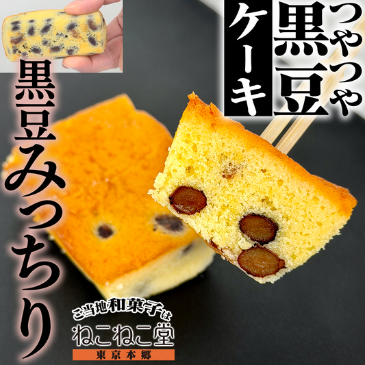 黒豆ケーキ【岩手県産黒豆100％】（10個入）【岩手】