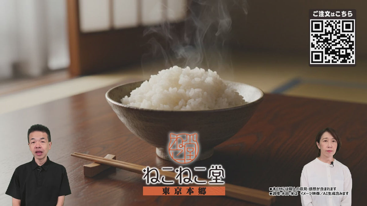 動画を読み込む: 