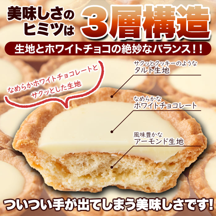 ホワイトチョコタルト【30個】