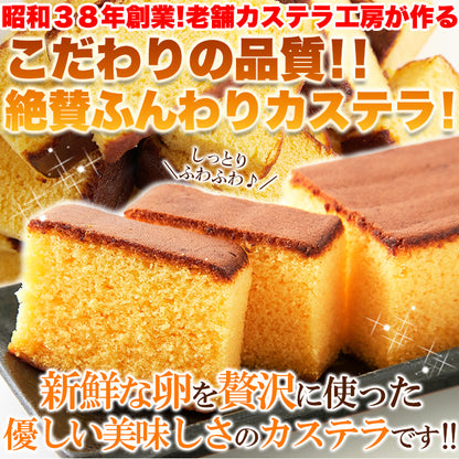 長崎　プレーンカステラ大容量　【約300g×3本】